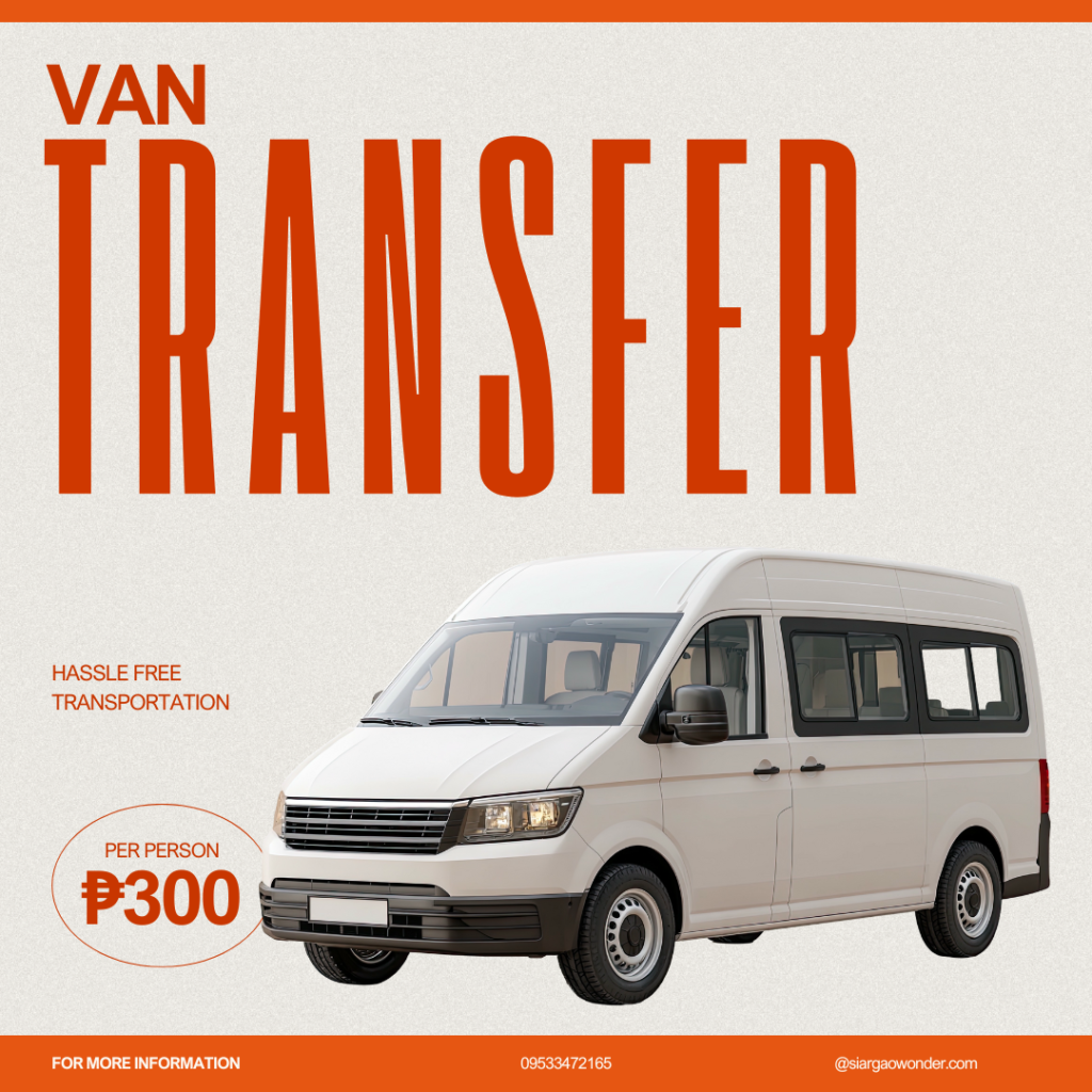 van transfer
